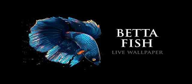 Betta Fish Live Wallpaper
