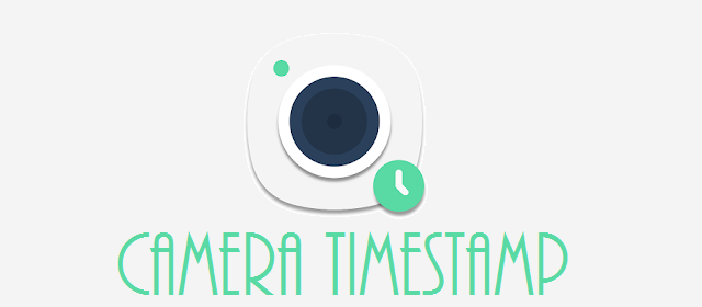 Camera Timestamp